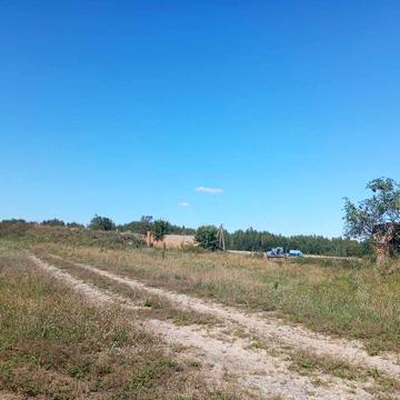 Польова