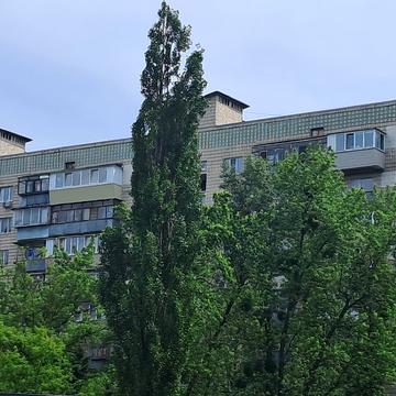 Шолом-Алейхема вул., 1