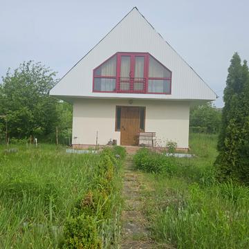 Лісова
