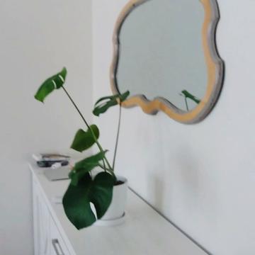Антоновича вул. (Горького), 44