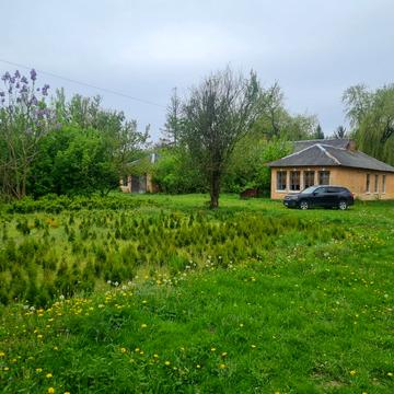 Широка, 24