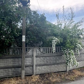 вул.Анатолія Гусака