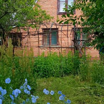 Садова