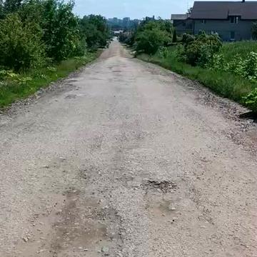 Липова