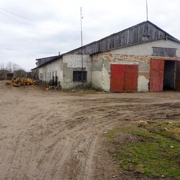 Лесі Українки, 5