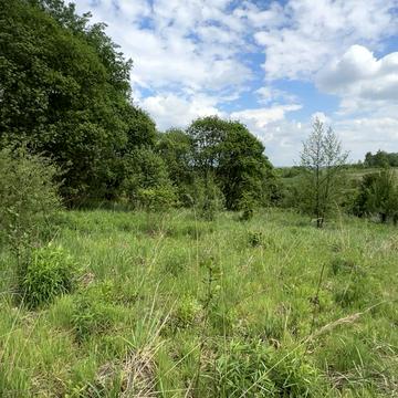Старе Село, Львівський, Львівська область 15000.0 USD