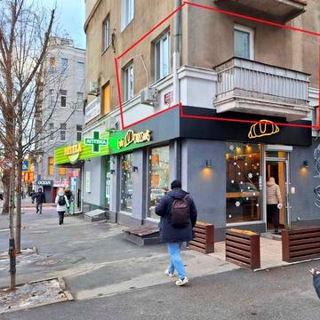 Григорія Сковороди вул. (Пушкінська), 80