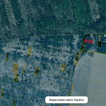 Княжичі, Фастівський, Київська область 8500.0 USD