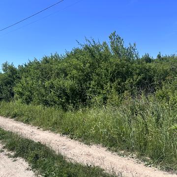 Ульцинська