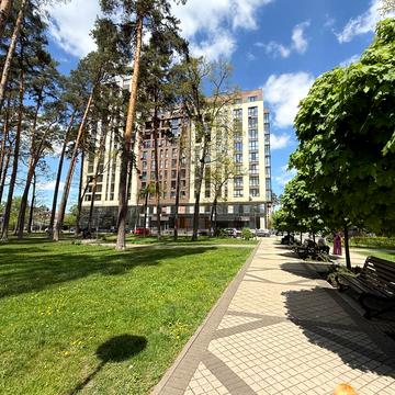 Матвія Донцова вул. (Тургенєвська), 24