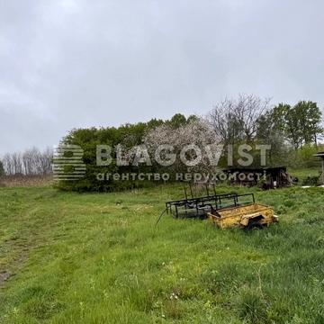 Велика Солтанівка, Фастівський, Київська область 70000.0 USD
