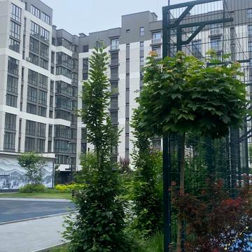 Олександра Довженка вул., (Будинок 15)