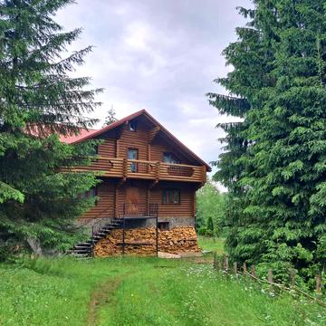 Лісова