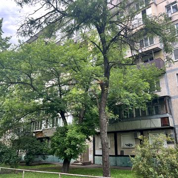 Раїси Окіпної вул., 5