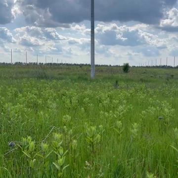Ясногородка, Вишгородський, Київська область 10000.0 USD