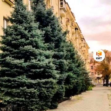 Героїв Харкова просп. (Московський), 15