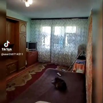 Святослава Ріхтера вул., 64/29