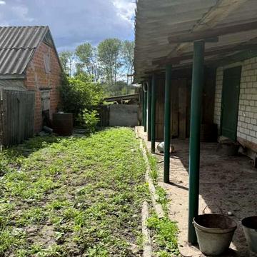 Центральна