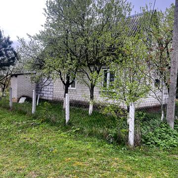 Берізкова