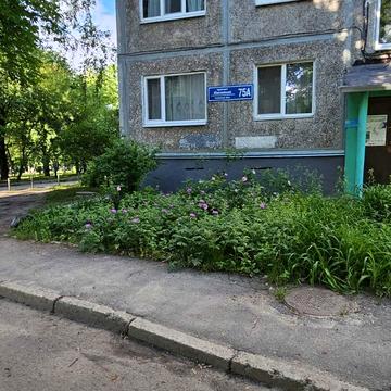 Ювілейний просп. (), 75а