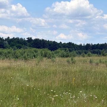Забороль, Рівненський, Рівненська область 5000.0 USD