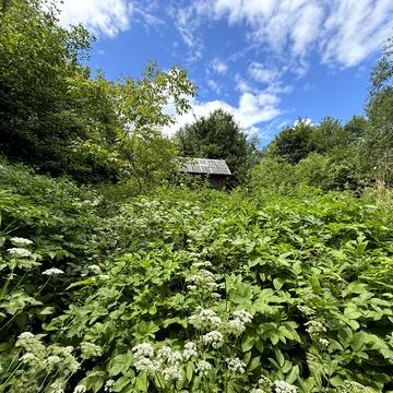 Перечин, Ужгородський, Закарпатська область 12000.0 USD