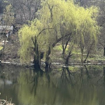 Маріупольська вул., 23