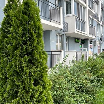 Валеряна Підмогильного вул., 5
