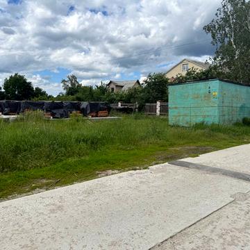 Виноградна