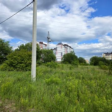 Кленова