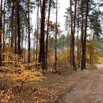 Козин, Обухівський, Київська область 500000.0 USD