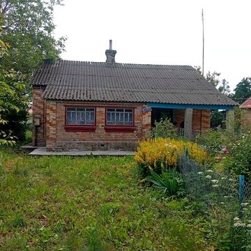 Шкільна