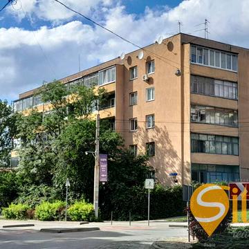 Панаса Мирного вул., 43