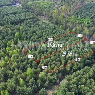 Жорнівка, Фастівський, Київська область 1200.0 USD