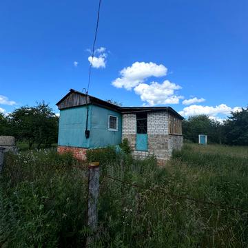Квітуча