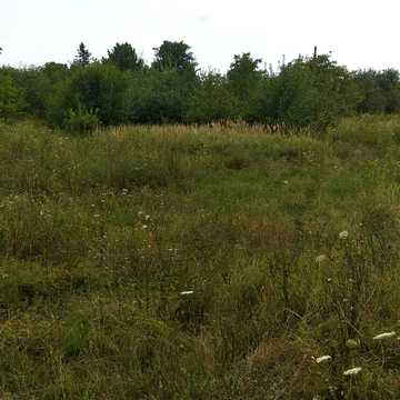 Берегове, Берегівський, Закарпатська область 7000.0 USD