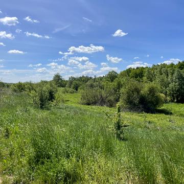 Зубра, Львівський, Львівська область 55000.0 EUR