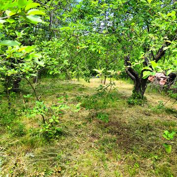 Ржавець, Харківський, Харківська область 3500.0 USD