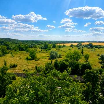 Євгена Танцюри вул. (Генерала Петрова), 50