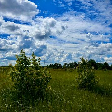 Аеропорт Антонов, Гостомель, Бучанський, Київська область 10500.0 USD