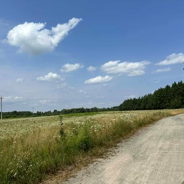 Вишнева