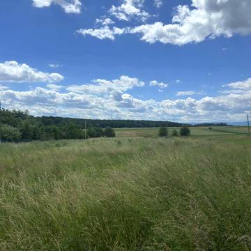 Добрівляни, Дрогобицький, Львівська область 14000.0 USD