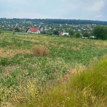 Петриків, Тернопільський, Тернопільська область 10450.0 UAH