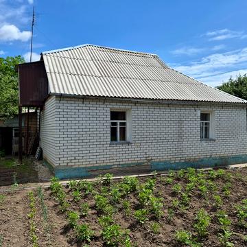 коцюбнського