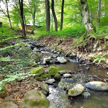Вільховиця, Мукачівський, Закарпатська область 35000.0 USD