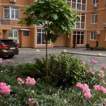 Люстдорфська дорога вул., 55
