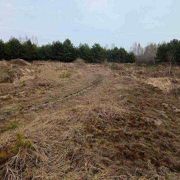 Димер, Вишгородський, Київська область 63000.0 USD