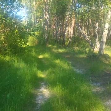 Калинівка, Бучанський, Київська область 25000.0 USD