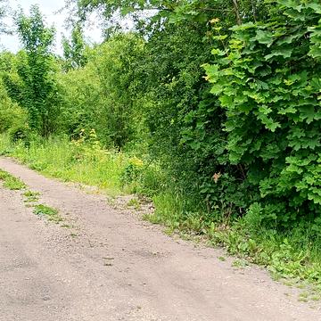 Зелена вул.