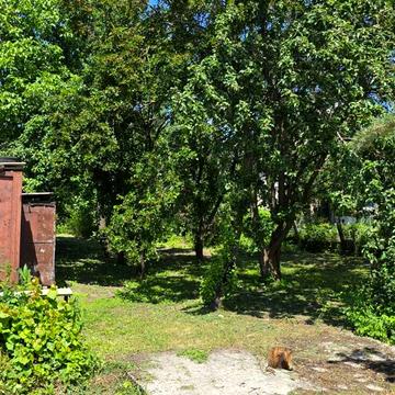 Юрівка, Фастівський, Київська область 20000.0 USD